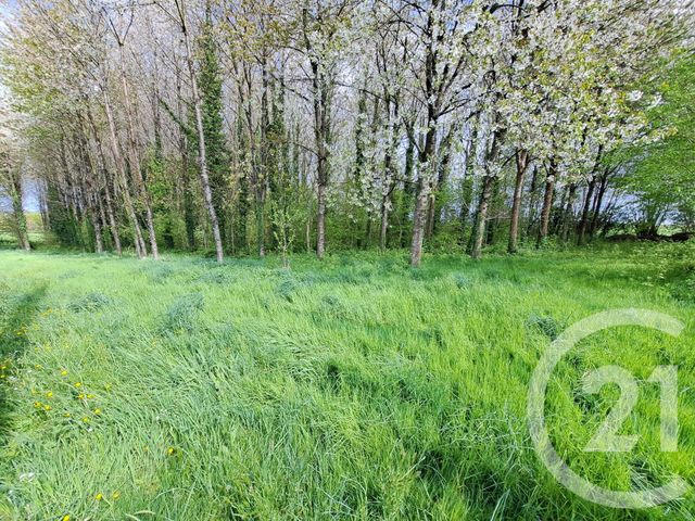 maison à vendre - 5 pièces - 92.45 m2 - SECONDIGNY - 79 - POITOU-CHARENTES - Century 21 Amb Immobilier