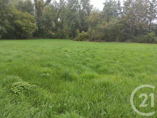 maison à vendre - 4 pièces - 87.18 m2 - MASSOGNES - 86 - POITOU-CHARENTES - Century 21 Amb Immobilier